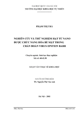 Nghiên cứu hạt từ nano chức năng hóa trong chẩn đoán