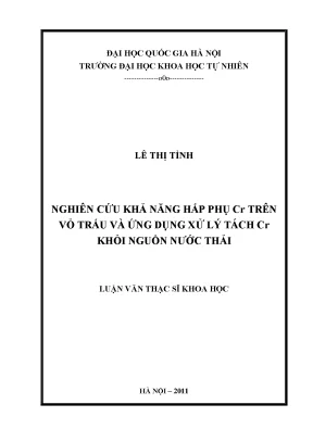 Nghiên cứu khả năng hấp phụ Cr trên vỏ trấu để xử lý