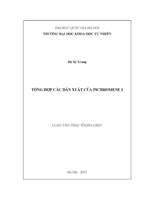 Tổng hợp dẫn xuất Pichromene 1: Luận văn thạc sĩ HUS