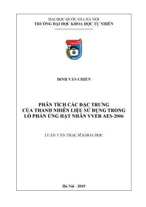 Phân Tích Đặc Trưng Thanh Nhiên Liệu Trong Lò Phản Ứng 