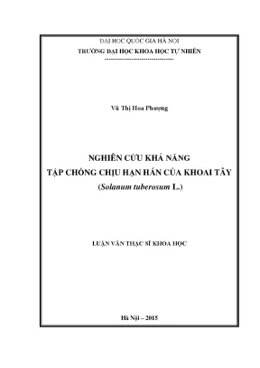 Nghiên cứu khả năng chống chịu hạn hán của khoai tây