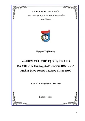 Nghiên cứu chế tạo hạt nano đa chức năng Ag-4ATP/Fe3O4