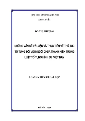 Thủ Tục Tố Tụng Đối Với Người Chưa Thành Niên Trong Luật