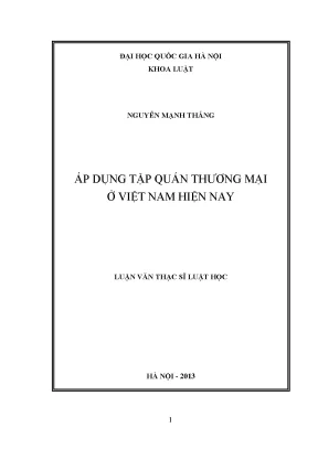 Áp Dụng Tập Quán Thương Mại Tại Việt Nam: Thực Trạng và