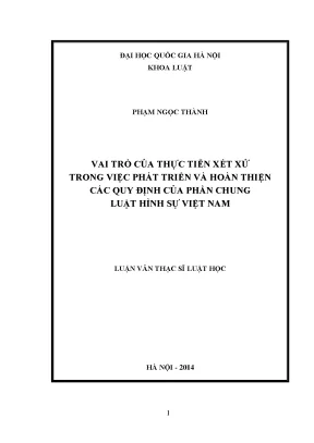 Vai trò của thực tiễn xét xử trong phát triển luật hình