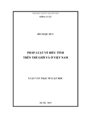 Pháp Luật Về Biểu Tình: So Sánh Quốc Tế và Việt Nam