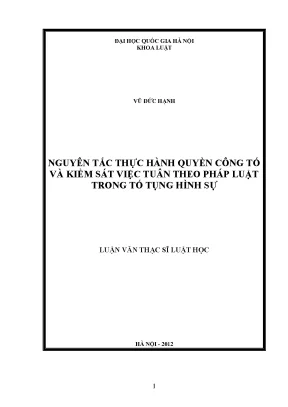 Nguyên Tắc Thực Hành Quyền Công Tố Trong Tố Tụng Hình Sự