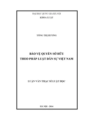Bảo Vệ Quyền Sở Hữu Theo Pháp Luật Dân Sự Việt Nam