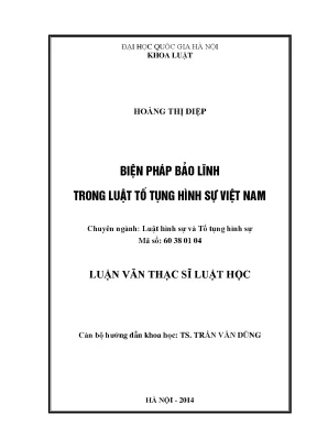 Biện Pháp Bảo Lĩnh Trong Luật Tố Tụng Hình Sự Việt Nam: