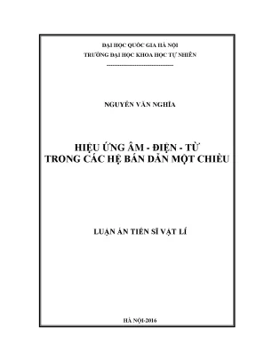Nghiên cứu hiệu ứng âm điện từ trong hệ bán dẫn một chiều