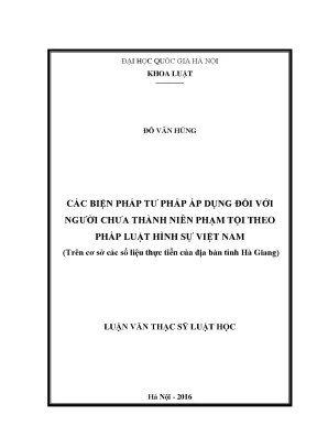 Biện Pháp Tư Pháp Đối Với Người Chưa Thành Niên Phạm Tội