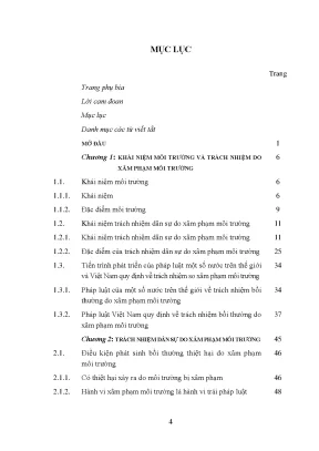 Trách Nhiệm Bồi Thường Thiệt Hại Môi Trường Theo Bộ Luật