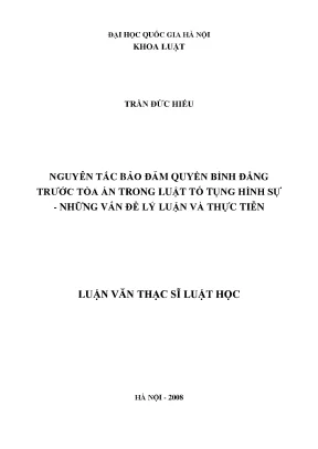 Nguyên Tắc Bảo Đảm Quyền Bình Đẳng Trước Tòa Án Trong