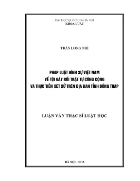 Nghiên cứu tội gây rối trật tự công cộng và thực tiễn