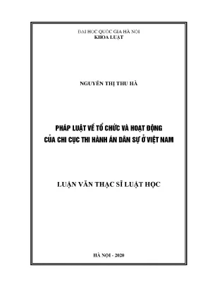Tổ Chức và Hoạt Động của Chi Cục Thi Hành Án Dân Sự ở