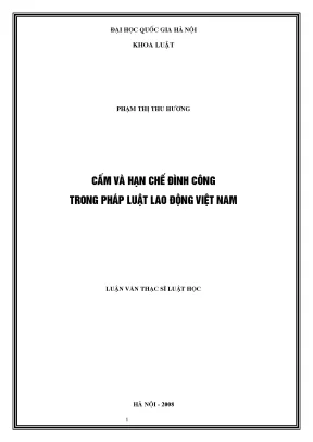 Cấm và Hạn Chế Đình Công Trong Pháp Luật Lao Động Việt Nam
