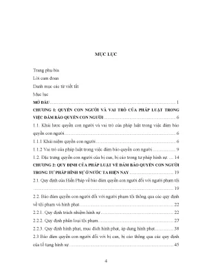 Bảo Đảm Quyền Con Người Trong Xét Xử Hình Sự Ở Việt Nam