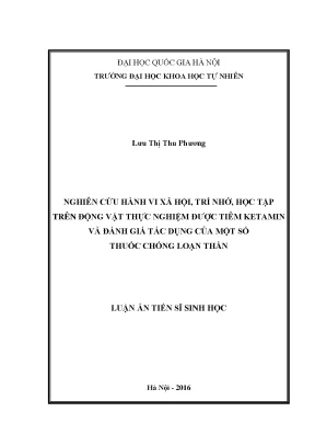 Nghiên cứu tác động của ketamin lên hành vi xã hội và 