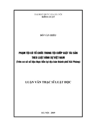 Phân Tích Phạm Tội Có Tổ Chức Trong Tội Cướp Giật Tài