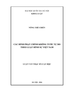 Các Hình Phạt Chính Không Tước Tự Do Theo Luật Hình Sự