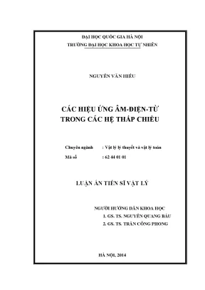 Nghiên cứu hiệu ứng âm điện từ trong hệ thấp chiều