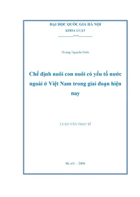 Chế Định Nuôi Con Nuôi Có Yếu Tố Nước Ngoài Tại Việt