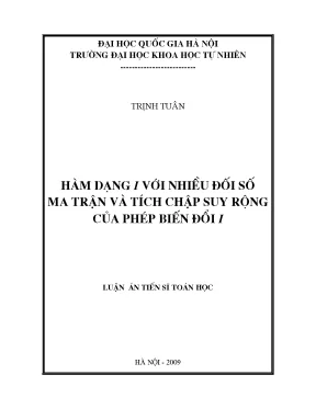 Nghiên cứu hàm dạng I với nhiều đối số ma trận và tích