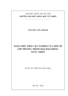 Nghiên cứu về nghiệm của phương trình đạo hàm riêng ngẫu 