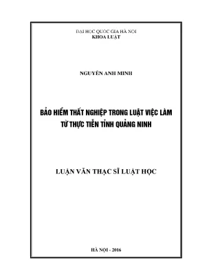 Bảo Hiểm Thất Nghiệp Trong Luật Việc Làm: Thực Tiễn Tỉnh