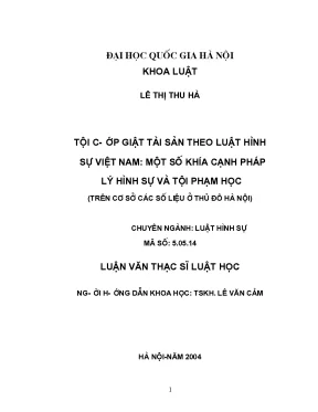 Phân Tích Tội Cướp Giật Tài Sản Theo Luật Hình Sự Việt