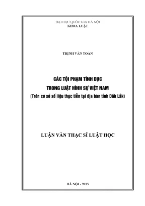 Tội Phạm Tình Dục Trong Luật Hình Sự Việt Nam: Phân Tích