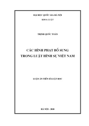 Hình Phạt Bổ Sung Trong Luật Hình Sự Việt Nam: Nghiên
