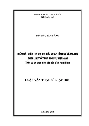 Kiểm sát điều tra vụ án hình sự về ma túy tại Nam Định