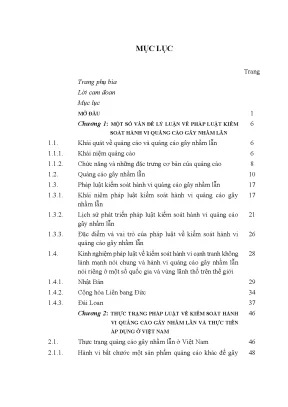 Kiểm Soát Hành Vi Quảng Cáo Gây Nhầm Lẫn Tại Việt Nam: