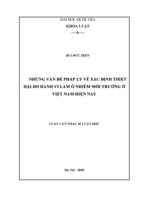 Xác định thiệt hại do ô nhiễm môi trường ở Việt Nam: Vấn
