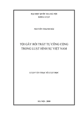 Tội Gây Rối Trật Tự Công Cộng Trong Luật Hình Sự Việt Nam
