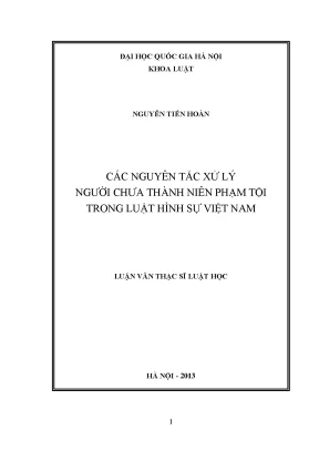 Nguyên Tắc Xử Lý Người Chưa Thành Niên Phạm Tội Trong