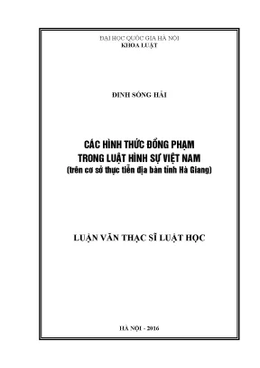 Các Hình Thức Đồng Phạm Trong Luật Hình Sự Việt Nam: