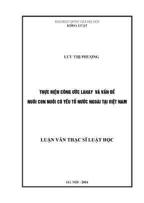 Công ước La Haye và Nuôi Con Nuôi Có Yếu Tố Nước Ngoài