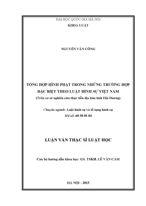 Tổng hợp hình phạt đặc biệt theo luật hình sự Việt Nam: