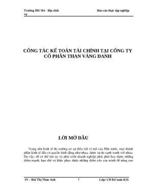 Công Tác Kế Toán Tài Chính Tại Công Ty Cổ Phần Than Vàng