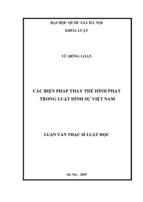 Biện Pháp Thay Thế Hình Phạt Trong Luật Hình Sự Việt Nam