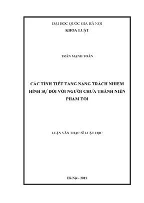 Tình Tiết Tăng Nặng Trách Nhiệm Hình Sự Đối Với Người