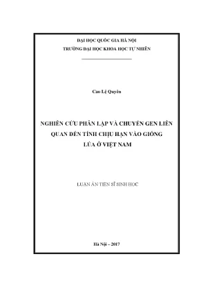 Nghiên cứu chuyển gen chịu hạn cho giống lúa Việt Nam