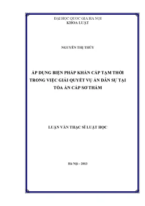 Biện Pháp Khẩn Cấp Tạm Thời Trong Giải Quyết Vụ Án Dân