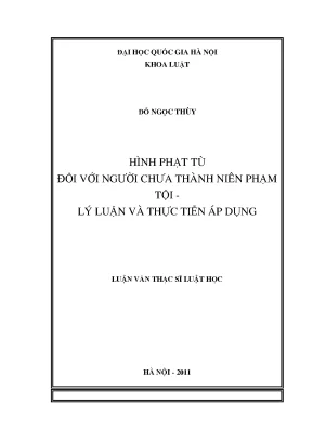 Hình Phạt Tù Đối Với Người Chưa Thành Niên Phạm Tội: Lý