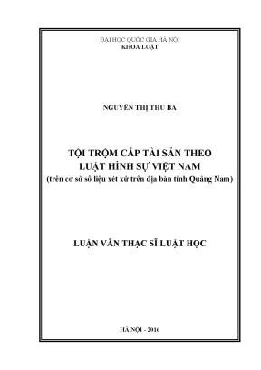 Nghiên cứu tội trộm cắp tài sản theo luật hình sự Việt