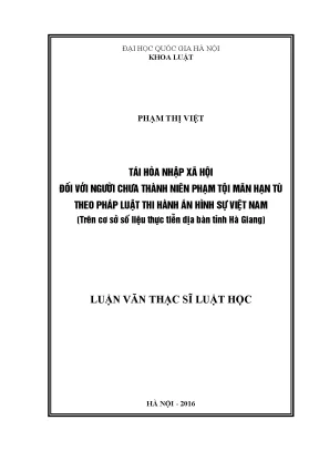 Tái Hòa Nhập Xã Hội Cho Người Chưa Thành Niên Phạm Tội