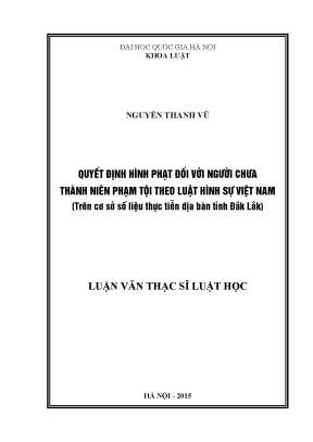 Quyết Định Hình Phạt Đối Với Người Chưa Thành Niên Phạm