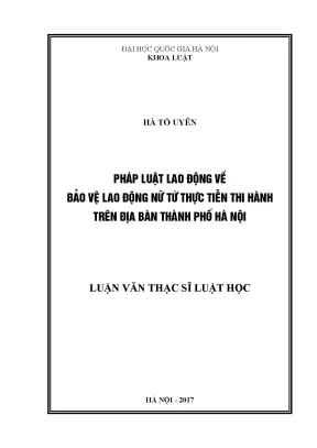 Bảo Vệ Lao Động Nữ: Thực Tiễn và Giải Pháp Tại Hà Nội
